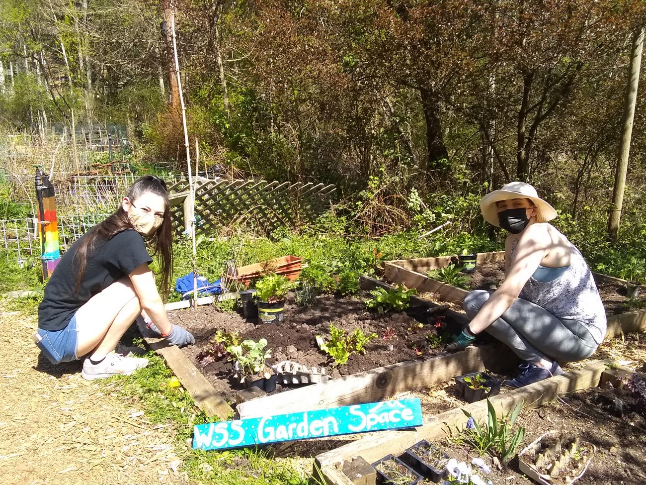Students working in the WSS Garden